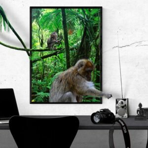 Photo Tips